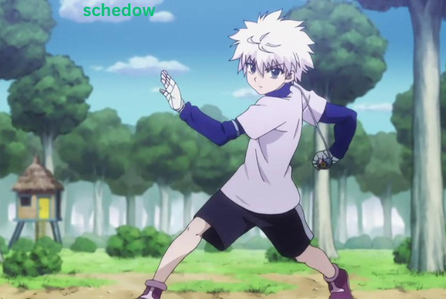 schedow